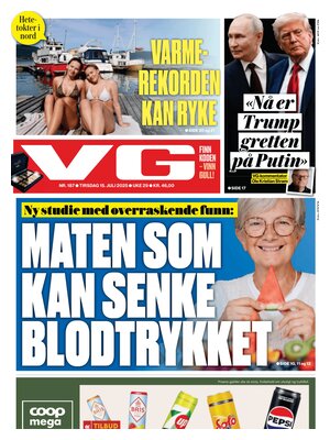 Verdens Gang (VG)