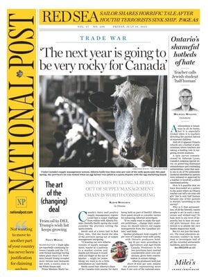 National Post (The Post)