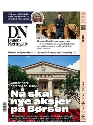 Dagens Næringsliv (DN)