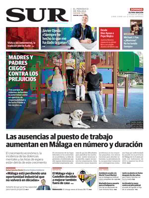 Diario SUR