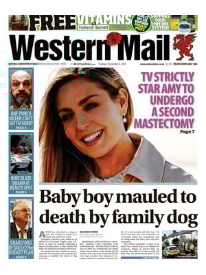 Western Mail (Wales)