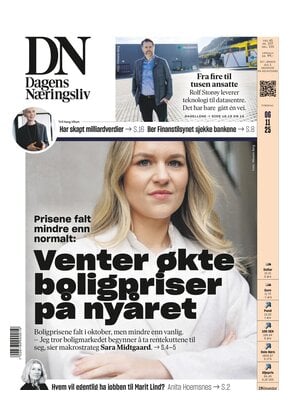 Dagens Næringsliv (DN)