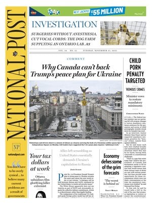 National Post (The Post)