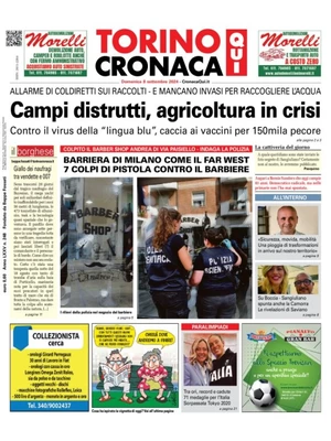 CronacaQui