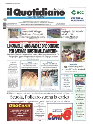 Il Quotidiano del Sud (Vibo Valentia)