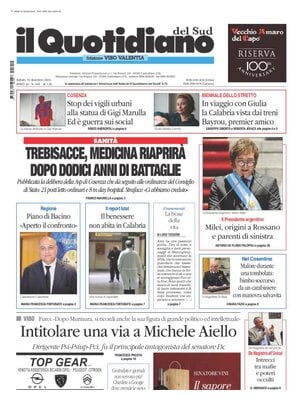 Il Quotidiano del Sud (Vibo Valentia)