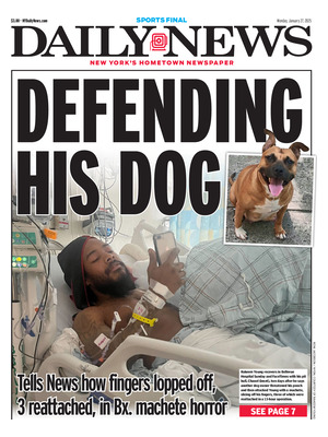 Daily News (New York)